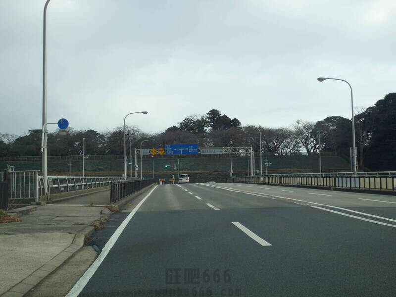 5558.jpg