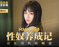 MMZ-023 性奴养成记-寻小小