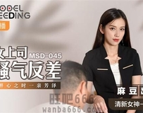 MSD-045 女上司骚气反差-袁子仪